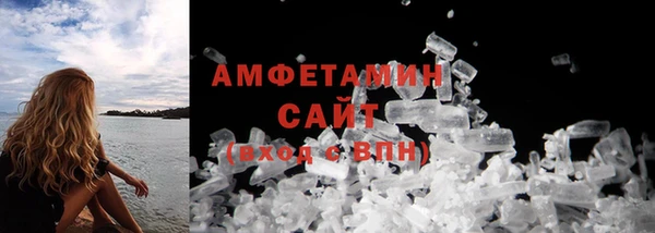PSILOCYBIN Ельня