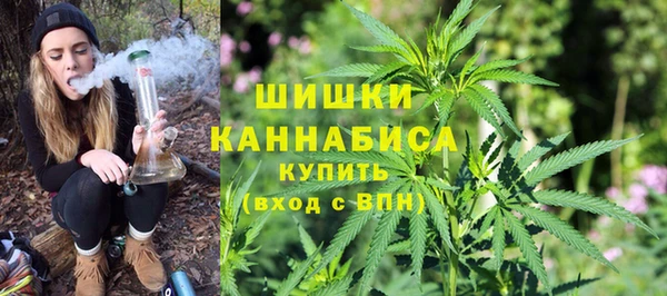 сатива Заводоуковск