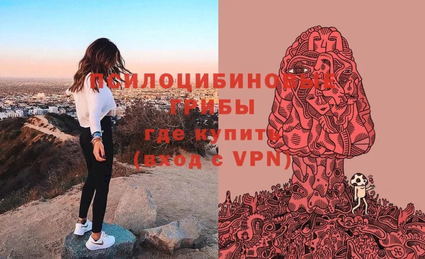 синтетический гашиш Зеленодольск
