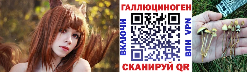 наркота  MEGA   Галлюциногенные грибы Psilocybe  Котово 